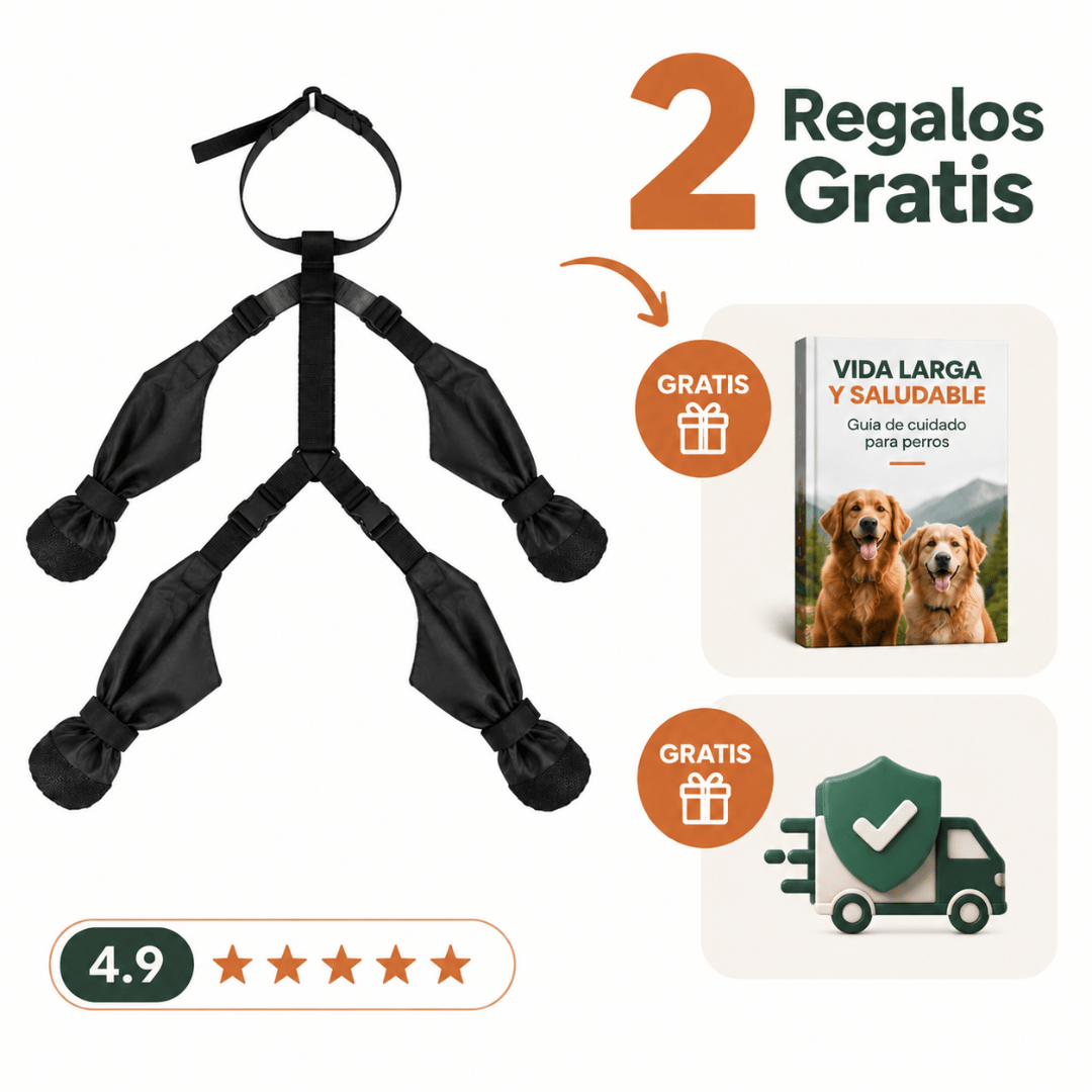 Botas PawRidge