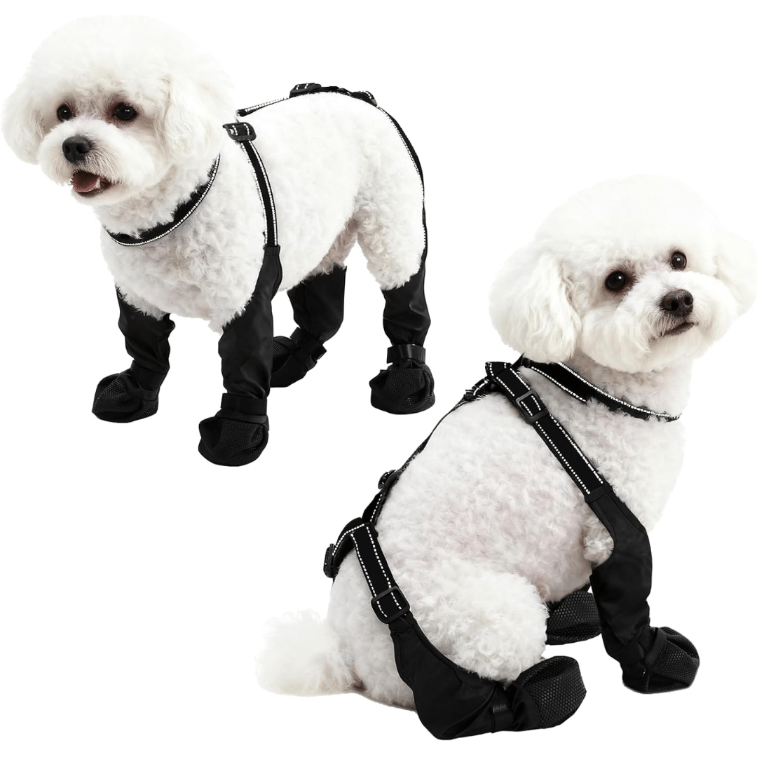 Botas PawRidge