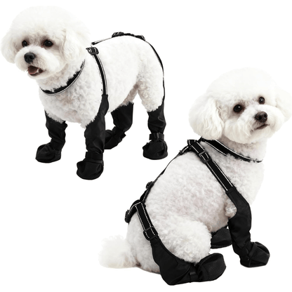 Botas PawRidge