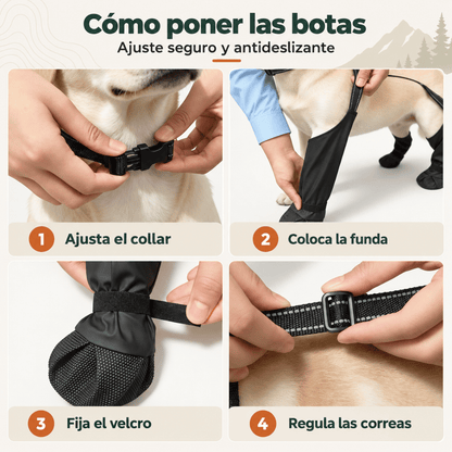 Botas PawRidge
